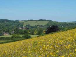 Streatley-and-the-Thames-Valley-across-the-meadows