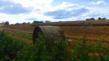 Hill-Farm,-Chalfont-St-Giles