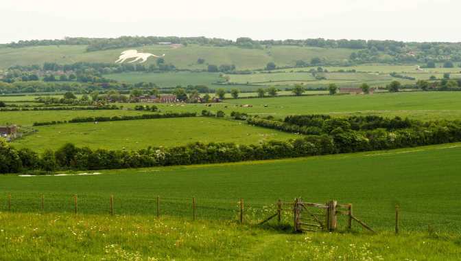 Whipsnade Lion viewed from Gallows Hill