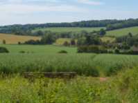 The Gade Valley from Hoo Wood