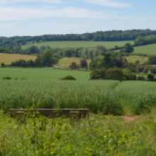 The Gade Valley from Hoo Wood